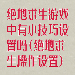绝地求生游戏中有小技巧设置吗(绝地求生操作设置)