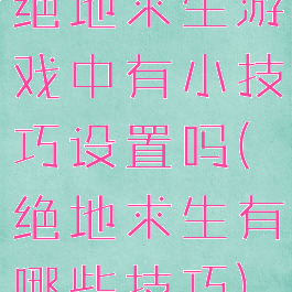 绝地求生游戏中有小技巧设置吗(绝地求生有哪些技巧)