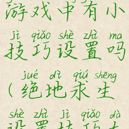 绝地求生游戏中有小技巧设置吗(绝地求生设置技巧大全)