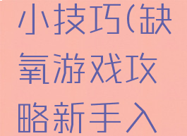 缺氧游戏小技巧(缺氧游戏攻略新手入门)