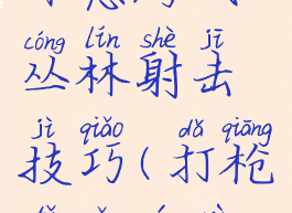 体感游戏丛林射击技巧(打枪体感游戏)