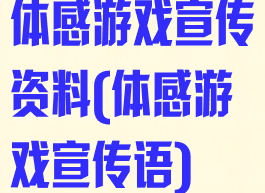 体感游戏宣传资料(体感游戏宣传语)