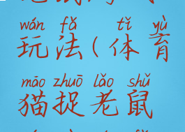 体育猫捉老鼠游戏玩法(体育猫捉老鼠游戏玩法视频)