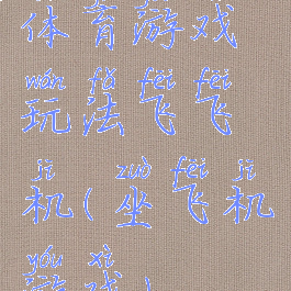 体育游戏玩法飞飞机(坐飞机游戏)