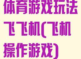体育游戏玩法飞飞机(飞机操作游戏)