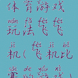 体育游戏玩法飞飞机(飞机比赛的游戏)