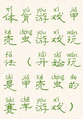 体育游戏甲壳虫游戏玩法(开始玩是甲壳虫的赛车游戏)