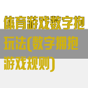 体育游戏数字抱玩法(数字拥抱游戏规则)