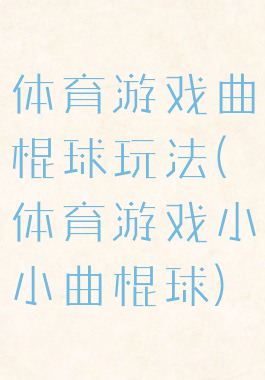 体育游戏曲棍球玩法(体育游戏小小曲棍球)