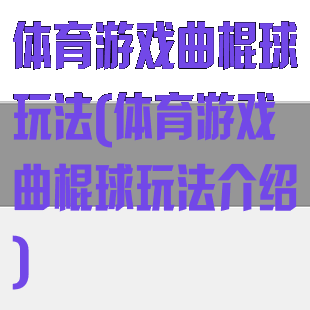 体育游戏曲棍球玩法(体育游戏曲棍球玩法介绍)