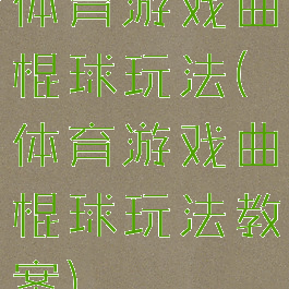 体育游戏曲棍球玩法(体育游戏曲棍球玩法教案)