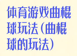 体育游戏曲棍球玩法(曲棍球的玩法)