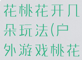 体育游戏桃花桃花开几朵玩法(户外游戏桃花开几朵)