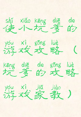 使小坑爹的游戏攻略(坑爹的攻略游戏家教)
