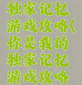 你是我的独家记忆游戏攻略(你是我的独家记忆游戏攻略视频)