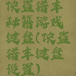 侠盗猎车秘籍游戏键盘(侠盗猎车键盘设置)