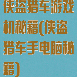 侠盗猎车游戏机秘籍(侠盗猎车手电脑秘籍)
