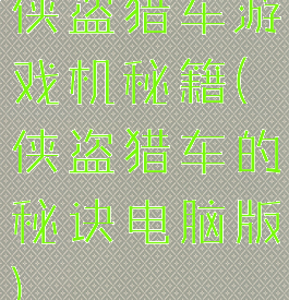 侠盗猎车游戏机秘籍(侠盗猎车的秘诀电脑版)