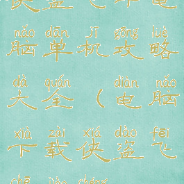 侠盗飞车电脑单机攻略大全(电脑下载侠盗飞车教程)