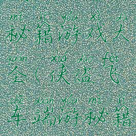 侠盗飞车秘籍游戏大全(侠盗飞车端游秘籍)