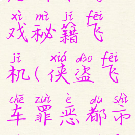 侠盗飞车罪恶都市游戏秘籍飞机(侠盗飞车罪恶都市秘籍大全飞机电脑版)