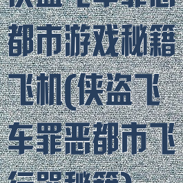 侠盗飞车罪恶都市游戏秘籍飞机(侠盗飞车罪恶都市飞行器秘籍)