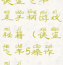 侠盗飞车五手柄游戏秘籍(侠盗飞车5操作秘籍)