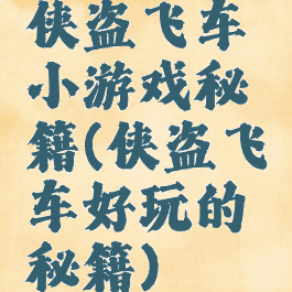 侠盗飞车小游戏秘籍(侠盗飞车好玩的秘籍)