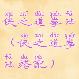 侠之道拳法(侠之道拳法搭配)