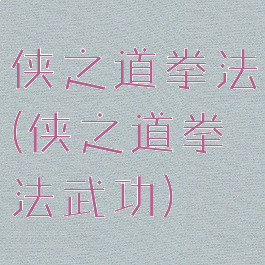 侠之道拳法(侠之道拳法武功)