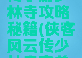 侠客风云传手游少林寺攻略秘籍(侠客风云传少林寺完美攻略)