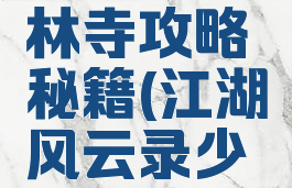 侠客风云传手游少林寺攻略秘籍(江湖风云录少林寺攻略大全)