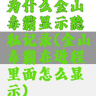 为什么金山毒霸显示隐私记录(金山毒霸在进程里面怎么显示)