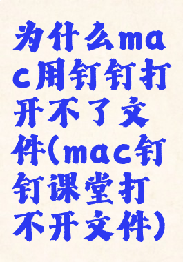 为什么mac用钉钉打开不了文件(mac钉钉课堂打不开文件)
