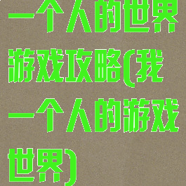 一个人的世界游戏攻略(我一个人的游戏世界)