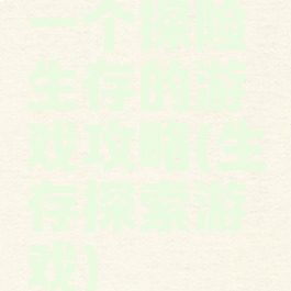 一个探险生存的游戏攻略(生存探索游戏)