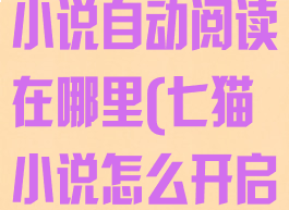 七猫免费阅读小说自动阅读在哪里(七猫小说怎么开启自读模式)