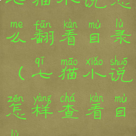 七猫小说怎么翻看目录(七猫小说怎样查看目录)