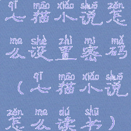 七猫小说怎么设置密码(七猫小说怎么读书)