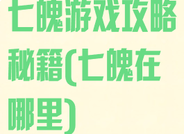 七魄游戏攻略秘籍(七魄在哪里)