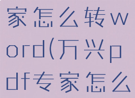 万兴pdf专家怎么转word(万兴pdf专家怎么用手机)