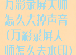 万彩录屏大师怎么去掉声音(万彩录屏大师怎么去水印)