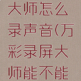 万彩录屏大师怎么录声音(万彩录屏大师能不能录人像)