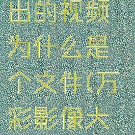 万彩影像大师保存出的视频为什么是个文件(万彩影像大师保存成mp4)