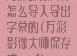 万彩影像大师怎么导入导出字幕的(万彩影像大师保存成mp4)