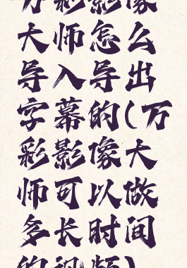 万彩影像大师怎么导入导出字幕的(万彩影像大师可以做多长时间的视频)