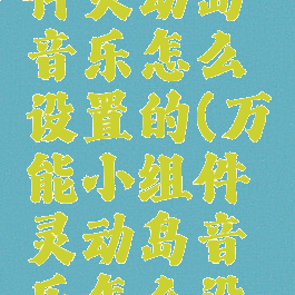 万能小组件灵动岛音乐怎么设置的(万能小组件灵动岛音乐怎么设置的)