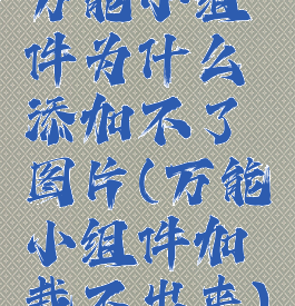 万能小组件为什么添加不了图片(万能小组件加载不出来)