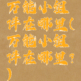 万能小组件在哪里(万能小组件在哪里?)