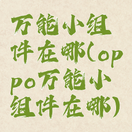 万能小组件在哪(oppo万能小组件在哪)